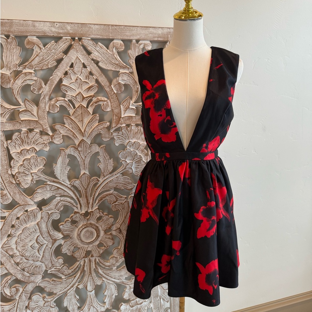 Roses are Red, A-line Dress – Romantic & Flirty
